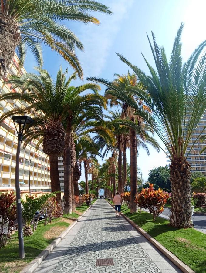 Paraiso San Telmo * Puerto de la Cruz (Tenerife)